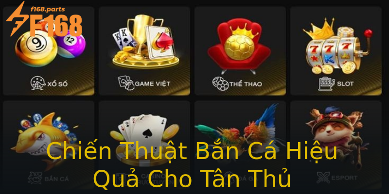 Chiến Thuật Bắn Cá Hiệu Quả Cho Tân Thủ Chiến Thuật Bắn Cá Hiệu Quả Cho Tân Thủ