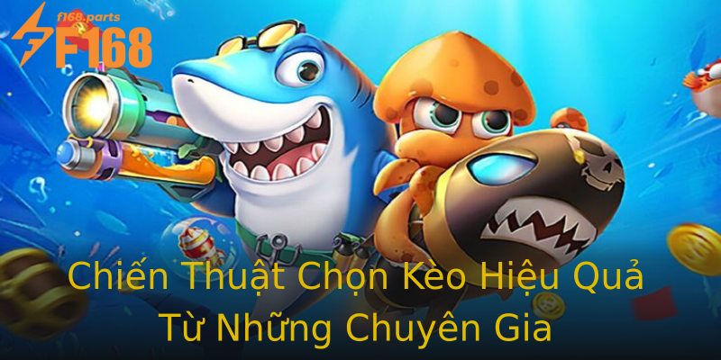 Chiến Thuật Chọn Kèo Hiệu Quả Từ Những Chuyên Gia Chiến Thuật Chọn Kèo Hiệu Quả Từ Những Chuyên Gia
