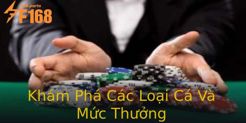 Khám Phá Các Loại Cá Và Mức Thưởng Khám Phá Các Loại Cá Và Mức Thưởng